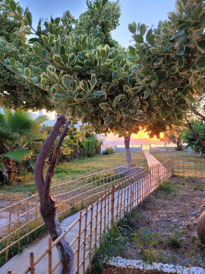 Villamare Nerantza Luaran gambar